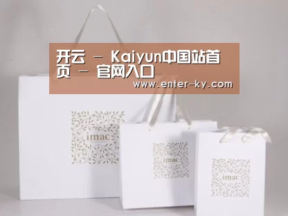 项目名称十一