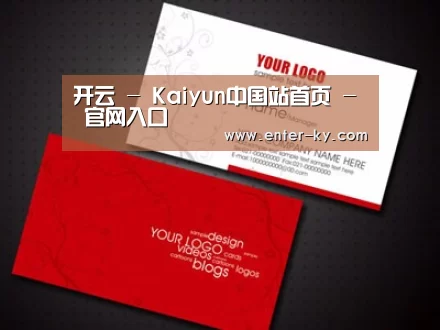 项目名称八