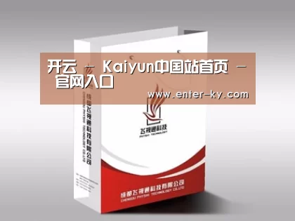 项目名称十三