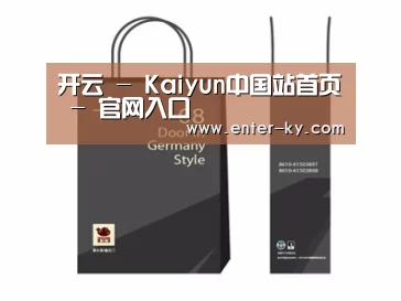 项目名称十四