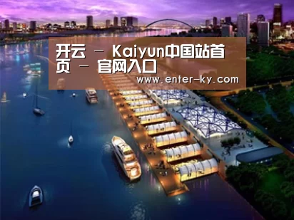 案例展示八