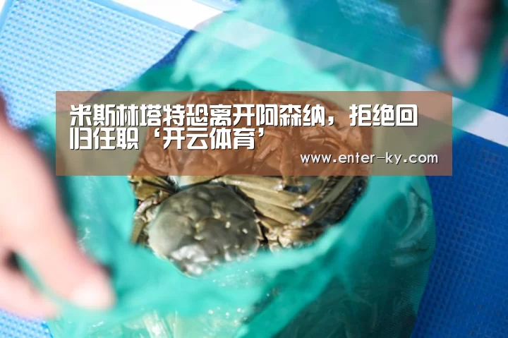 米斯林塔特恐离开阿森纳,拒绝回归任职‘开云体育’(图2) 赛事数据