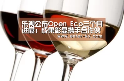 乐视公布Open Eco三个月进展:成果彰显携手合作伙伴创建丰富大屏场景‘赛事数据’(图3) 开云体育